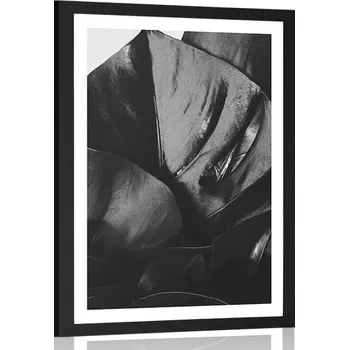 Plakát Dovido Plakát s paspartou list monstery v černobílém provedení