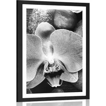 Plakát Dovido Plakát s paspartou nádherná orchidej a kameny v černobílém provedení