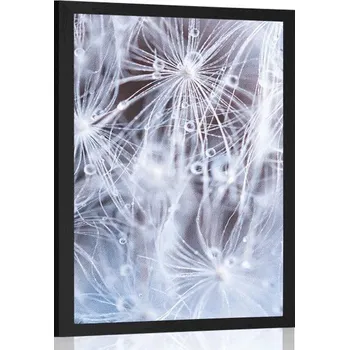 Plakát Dovido Plakát makro pampeliška