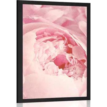 Plakát Dovido Plakát lupínky květu