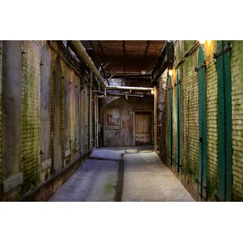 Fototapeta DIMEX | Vliesová fototapeta Blok vězení MS-5-0845 | 375 x 250 cm| zelená, žlutá, hnědá, šedá + Vliesová fototapeta na stěnu DIMEX Blok vězení MS50845 v rozměru 375 x 250 cm + lepidlo zdarma