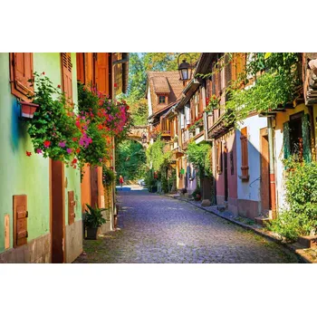 Fototapeta DIMEX | Vliesová fototapeta Městečko Colmar, Francie MS-5-0758 | 375 x 250 cm| zelená, hnědá, šedá + Vliesová fototapeta na stěnu DIMEX Městečko Colmar, Francie MS50758 v rozměru 375 x 250 cm + lepidlo zdarma