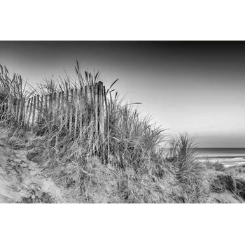 Fototapeta DIMEX | Vliesová fototapeta Ohromující východ slunce MS-5-3219 | 375 x 250 cm | bílá, černá + Vliesová fototapeta na stěnu DIMEX Ohromující východ slunce MS53219 v rozměru 375 x 250 cm + lepidlo zdarma