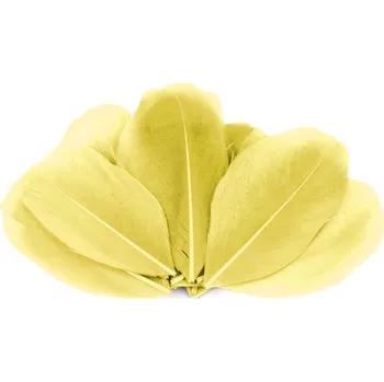 Příze Husí peří délka 5,5 - 7 cm - 10 ks - č.10 žlutozelená