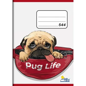 Sešit Sešit A5 linkovaný 544 - Pejsek