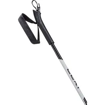 Běžkařská hole Leki XTA Base, anthracite-white 115