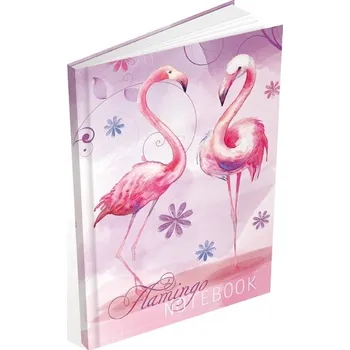 Kniha záznamní 6104 linkovaná A6/100 - Plameňáci