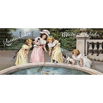 Čokoláda Dárková mléčná čokoláda 100 g - Kamarádce