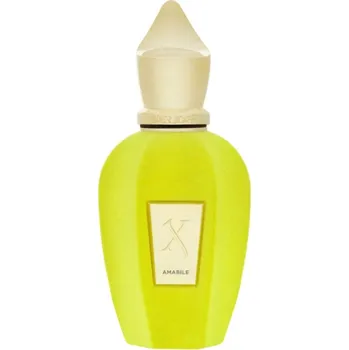 Pánský parfém Xerjoff Xerjoff Amabile, Parfumovaná Voda, 100ml, Tester pre všetkych Parfémovaná voda