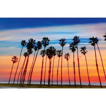 Fototapeta DIMEX | Vliesová fototapeta Palmová alej MS-5-1790 | 375 x 250 cm| modrá, červená, černá, oranžová + Vliesová fototapeta na stěnu DIMEX Palmová alej MS51790 v rozměru 375 x 250 cm + lepidlo zdarma