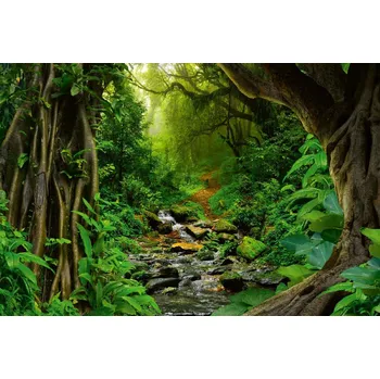 Fototapeta DIMEX | Vliesová fototapeta Řeka v tropech MS-5-1604 | 375 x 250 cm| zelená, hnědá + Vliesová fototapeta na stěnu DIMEX Řeka v tropech MS51604 v rozměru 375 x 250 cm + lepidlo zdarma