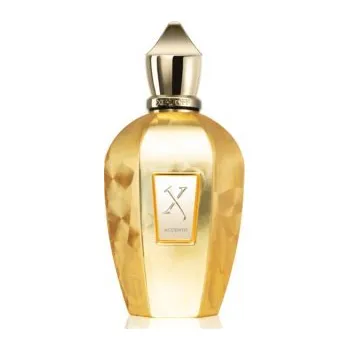 Xerjoff Xerjoff Accento Overdose, Parfumovaná voda 100ml - Tester Pre všetkých Parfumovaná voda