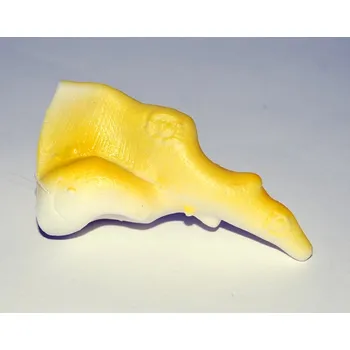 Karnevalový doplněk Nos čarodějnický