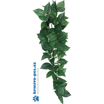 Teraristika Dekorace umělá rostlina - popínavá Sumatra Komodo 13cm