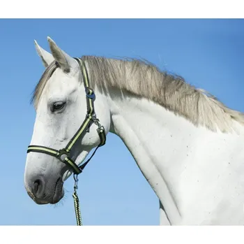 Chov hospodářského zvířete Stájová ohlávka pro koně, vel.1 (pony), nylon