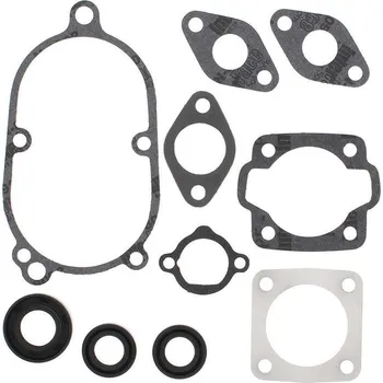 Těsnění motoru Winderosa sada těsnění motoru (s olejovým těsněním) Arctic Cat Kitty Cat 77-99