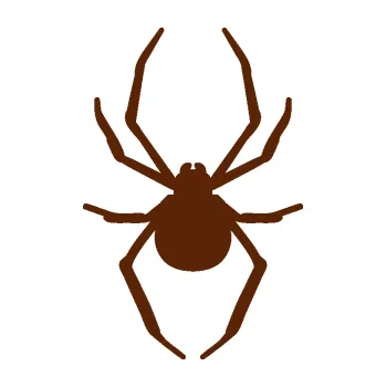 Samolepící dekorace SAMOLEPKA Pavouk 021 (15 - hnědá) NA AUTO, NÁLEPKA, FÓLIE, POLEP, TUNING, VLASTNÍ TEXT, TISK, AUTOSAMOLEPKY.cz, POLEPY, OBRÁZEK, LOGO, SAMOLEPKY