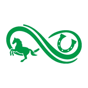 Samolepící dekorace Infinity 005 levá koník s podkovou (12 - zelená) SAMOLEPKA NA AUTO, NÁLEPKA, FÓLIE, POLEP, TUNING, VLASTNÍ TEXT, TISK, AUTOSAMOLEPKY.cz, POLEPY, OBRÁZEK, LOGO, 3D STICKERS