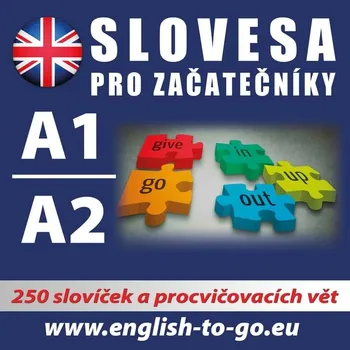 Angličtina – Slovesa pro začátečníky - kolektiv autorů - audiokniha