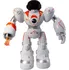 Robot Alltoys RC Robin