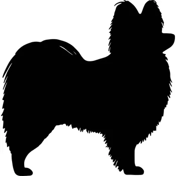 Vsepropejska Papillon 3 dřevěná dekorace na zeď Rozměr (cm): 38 x 37