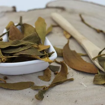 Čaj Jmelí bílé - nať nařezaná - Viscum album - Herba visci albi 50 g