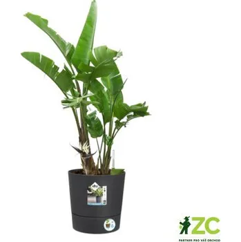 Obal na květináč Květináč samozavlažovací Greensense Aqua Care Round - charcoal grey 35 cm