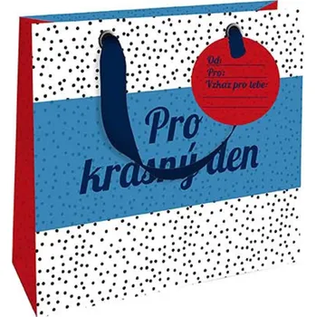 Dárková taška Nekupto Dárková papírová taška na mini hrníčky Pro krásný den 18 x 16 x 8 cm