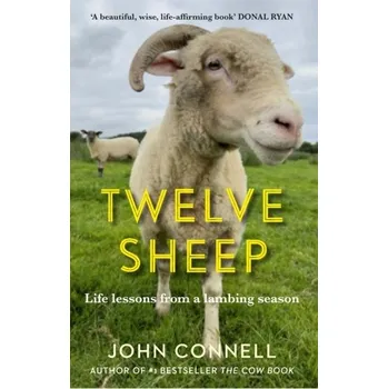 Twelve Sheep - Connell, John