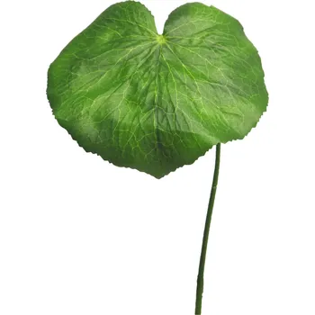 umělá květina Umělá rostlina, Galax list velký pruměr 20 cm