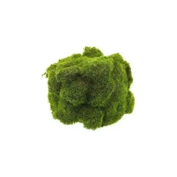 umělá květina Umělý mech, Mechová dekorace 20 x 14 cm zelená (324231)