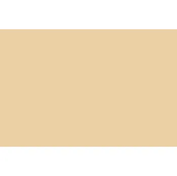 Oracal 970RA - 996 Champagne Myst Gloss Metallic