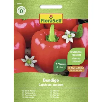 Semeno Paprika Bendigo F1 FloraSelf