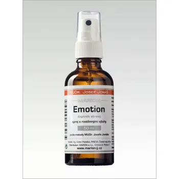 Emotion-emocionální zátěže