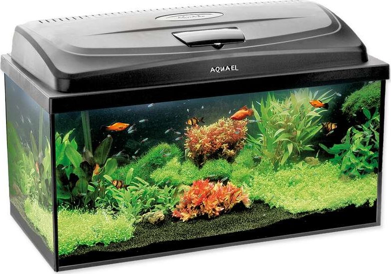 Akvarijní set AQUAEL CLASSIC LED 60 D&N