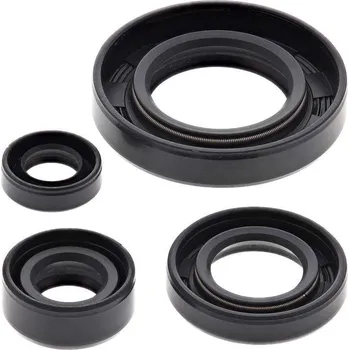 Těsnění motoru Winderosa sada gufer motoru Suzuki DR650SE 96-17