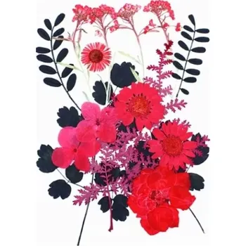 PourArt Sušené květiny SADA HAR-342 arch 105x150mm