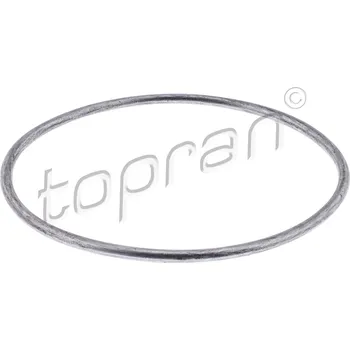 Automobilové těsnění Těsnění, vodní čerpadlo TOPRAN 100 674