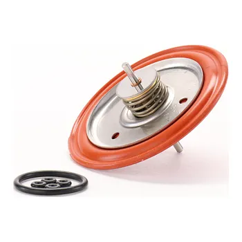 Příslušenství ke kotli DNK Membrána Immergas - 1.016225