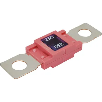 Autopojistky Maxi plochá pojistka 250A - 429725