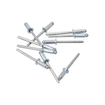 Nýt Nýt Monel 4,8 x 21,0mm