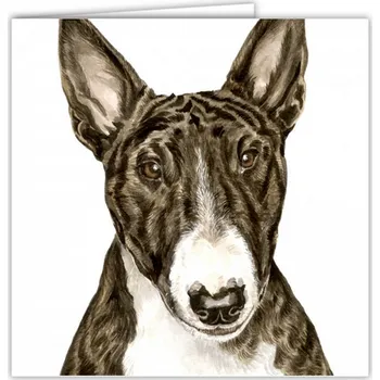 Přání v obálce Anglický bulteriér, WD 16,5 x 16,5 cm (Blahopřání s obálkou s pejskem, psi, pes)