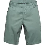 Chillaz Neo Shorts Green L