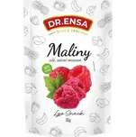 Dr. Ensa Maliny lyofilizované 30 g