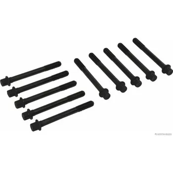 Spojovací materiál motoru Sada sroubu pro hlavy valcu HERTH+BUSS JAKOPARTS J1280315