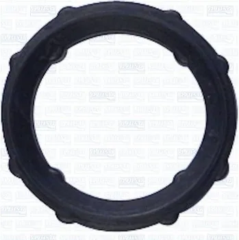 Těsnění motoru Těsnění, rozvodové ústrojí AJUSA 01196900