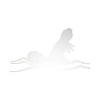 Polep vozidla SAMOLEPKA Plavání 005 levá (82 - odrazková reflexní bílá) NA AUTO, NÁLEPKA, FÓLIE, POLEP, TUNING, VLASTNÍ TEXT, TISK, AUTOSAMOLEPKY.cz, POLEPY, OBRÁZEK, LOGO, SAMOLEPKY