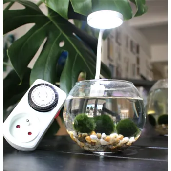 Akvárium Kompletní set řasokoule malý 0,8 l