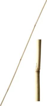 Opora na rostlinu Bambusová tyč k rostlinám 1,4-1,6 x 150 cm přírodní 10 ks
