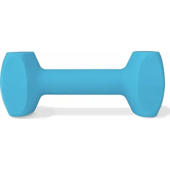 Hračka pro psa Činka pro psa Coachi TRAINING DUMBBELL Plast Modrá (Velikost L)